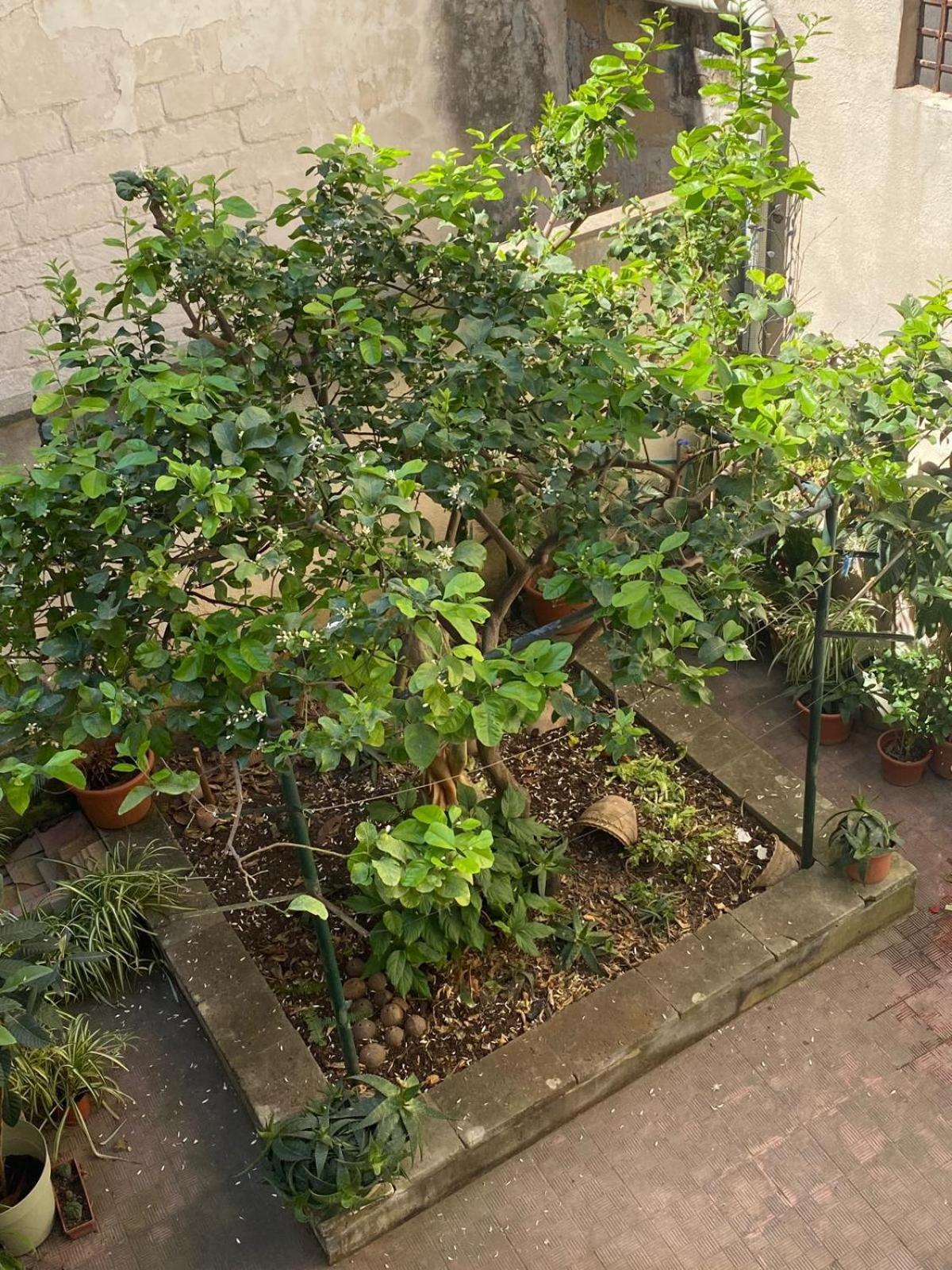 Casetta Zia Tetti 莱切 外观 照片